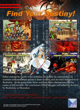 Samurai Shodown V box cover back